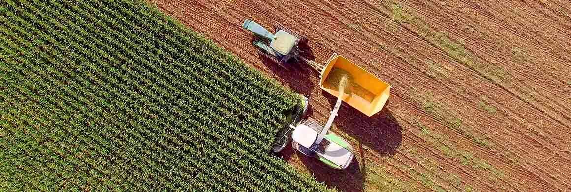 riesgos medioambientales sector alimentación
