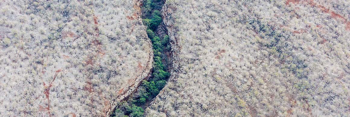 ley de responsabilidad medioambiental