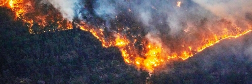 big data y cambio climático