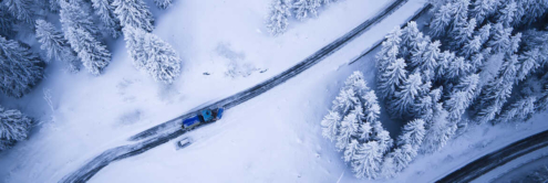 continuidad de negocio seguros nevada