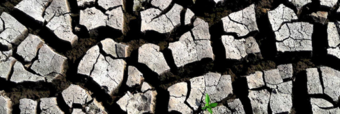 impacto financiero y economico del cambio climatico