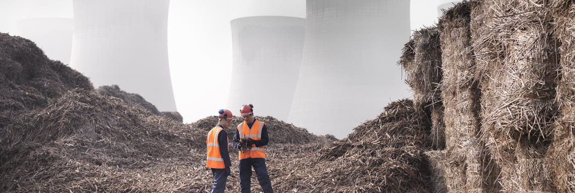 Sanciones a empresas por incumplir reglas de cuidado ambiental